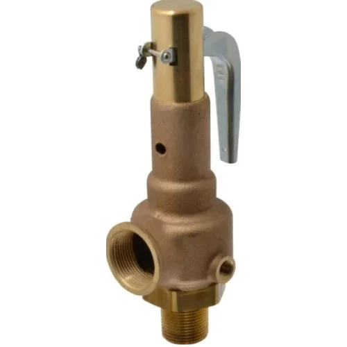 Apollo 19KFEA100 Outlet, High Pressure Valve 1" Inlet, 1-1/4"