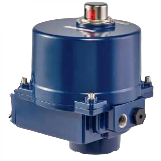 RuB BAA1021D E-Tork-3 Heavy Duty Actuator, 24VDC