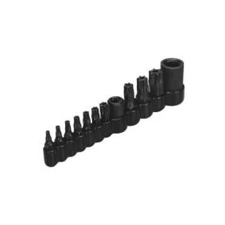 Master Tamper Resistant Torx and #174, Bit Set