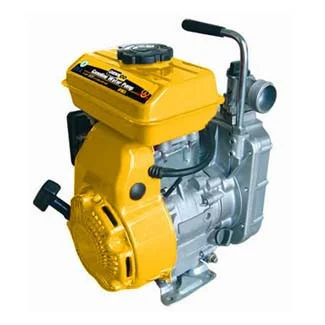 1 in Gasoline Water Pump