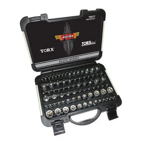 77 Pc. Master Torx Set TMS77