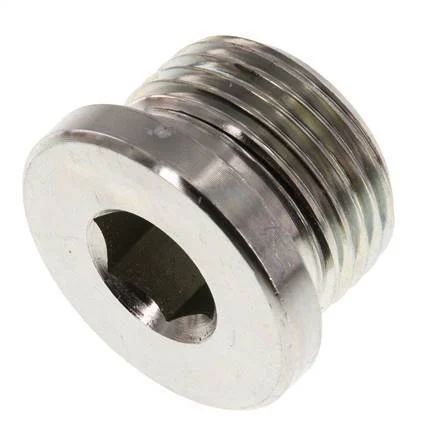 Plug M27 X 2 Steel NBR with Internal Hex 400bar (5620.0psi)