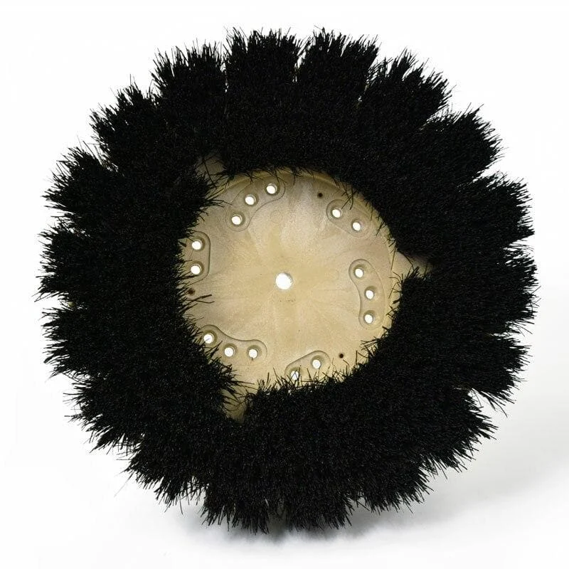Natural Fiber Scrubbing Bassine Brush